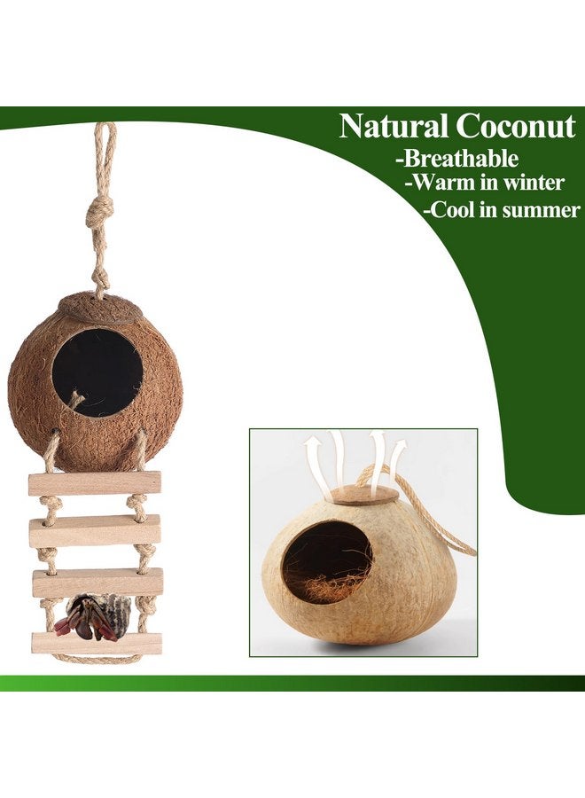 HERCOCCI Gecko Tank Accessories, Hermit Crab Toys Coconut Shell Natural Coconut Husk Hut with Climbing Ladder with Suction Cup for Leopard Gecko Snake Reptiles - Image 2