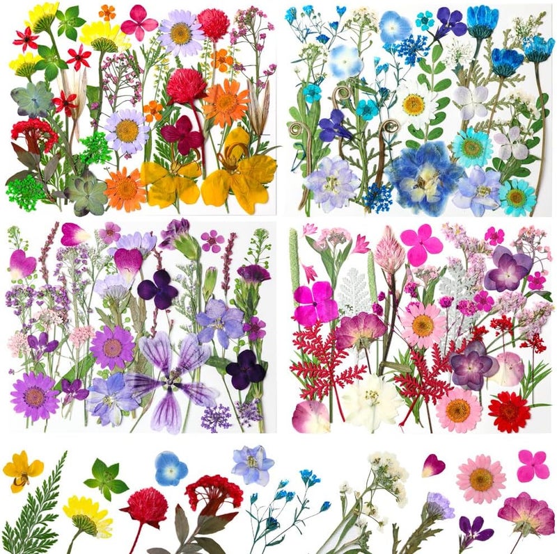 Buzidao 140Pcs Dried Pressed Flowers, Natural Dried Flowers Bulk with Dried Leaves for Resin, Mixed Color Dried Flowers for DIY Crafts, Epoxy Resin, Candle Making, Jewelry, Floral DIY Art, DIY Supplies Kits - Image 1