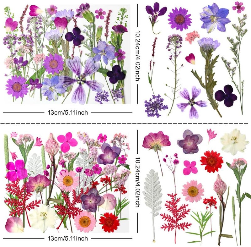 Buzidao 140Pcs Dried Pressed Flowers, Natural Dried Flowers Bulk with Dried Leaves for Resin, Mixed Color Dried Flowers for DIY Crafts, Epoxy Resin, Candle Making, Jewelry, Floral DIY Art, DIY Supplies Kits - Image 3