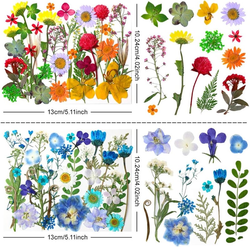Buzidao 140Pcs Dried Pressed Flowers, Natural Dried Flowers Bulk with Dried Leaves for Resin, Mixed Color Dried Flowers for DIY Crafts, Epoxy Resin, Candle Making, Jewelry, Floral DIY Art, DIY Supplies Kits - Image 2