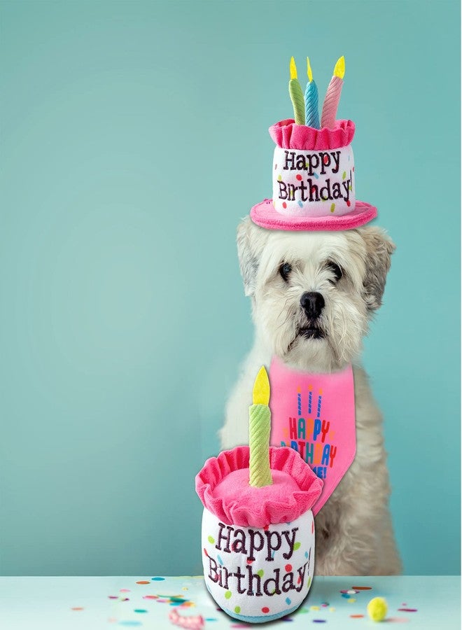 Ushang Pet ألعاب كعكة عيد ميلاد الكلاب من أوشانغ، ألعاب كلاب تصدر صوتاً على شكل كعكة عيد ميلاد سعيد للكلاب الصغيرة والمتوسطة | هدايا مضحكة للكلاب | ألعاب حفلات الكلاب القطيفة، صغيرة، وردية - Image 2