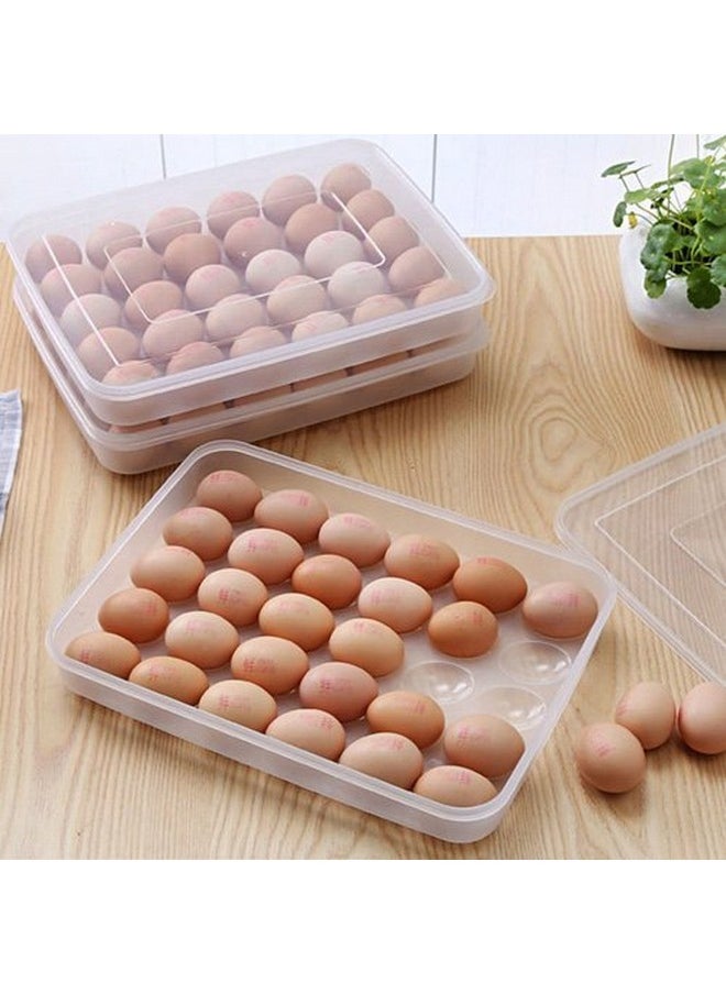 Styleys Plastic Egg Tray for Fridge 30 Eggs, Egg Box Transparent (S2172) - pzsku/Z7177A8C5BBEE13F8819CZ/45/_/1736571315/b719555d-5a09-415e-99d7-03996e11cf39