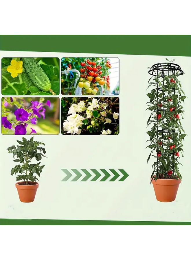 الطابق الرابع شبكة حديقة معدنية ثقيلة 3 طبقات تصميم دائري مقوس مستقيم - Image 3