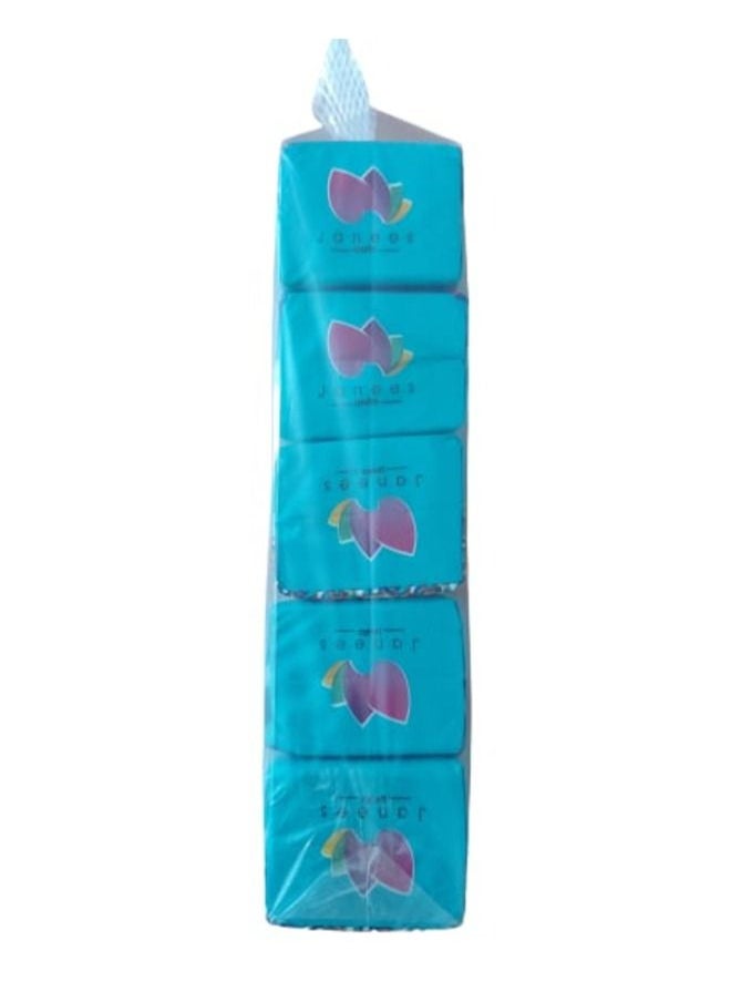 Janees Facial Tissue From Janees - 2500 Tissue - 5 Packs - 3 Layer  - Image 2