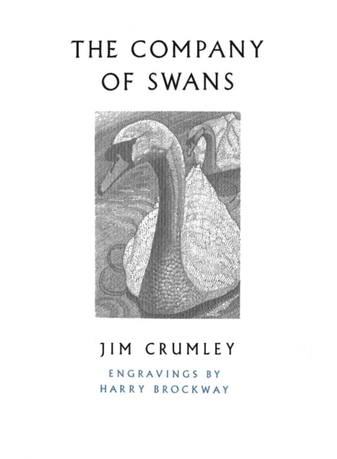 The Company of Swans 