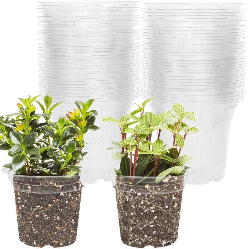 صينية بدء البذور بحجم 4 بوصات من وينيمانا لزراعة الخضروات والأعشاب وبذور الخس وأواني النباتات للتربة الداخلية أواني حضانة شفافة أواني زراعة بلاستيكية أواني زهور حديقة 60 عبوة