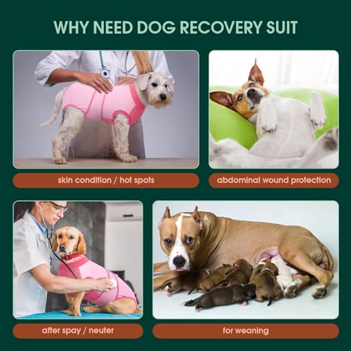 Kuoser Recovery Suit for Dogs Soft Dog Spay Suit for Female Surgery Recovery Breathable Dog Neuter Recovery Suit Male Anti Licking Dog Onesie for Abdominal Wounds Cone Alternatives Pink S - Image 3