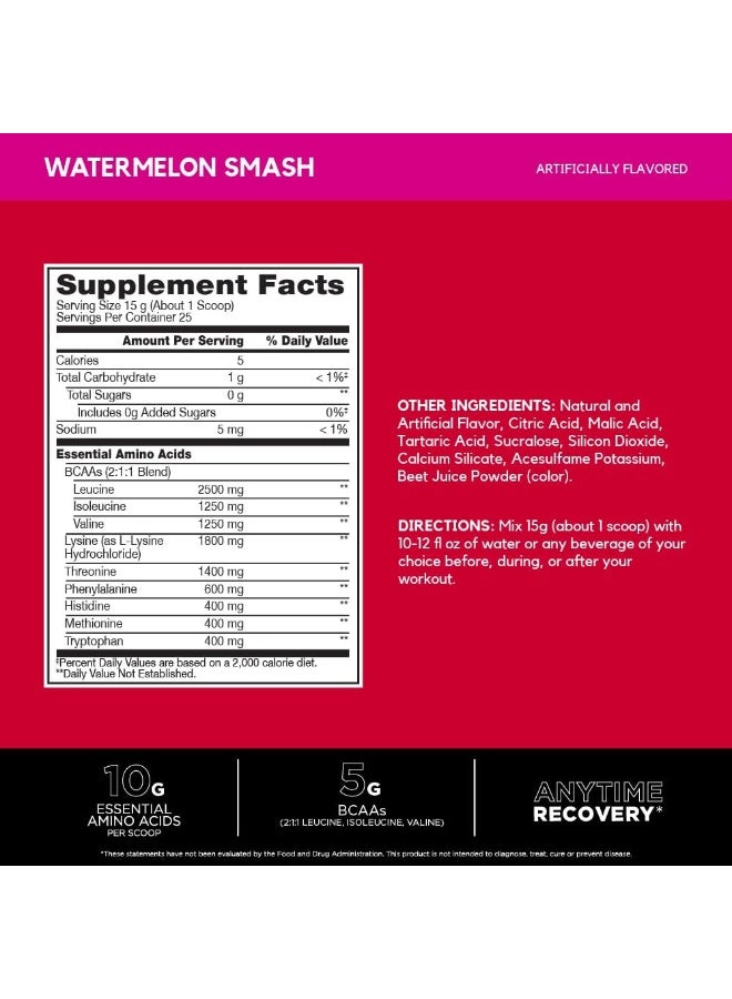 BSN AMINO X EAA WATERMELON 375G (6/CASE) - Image 1