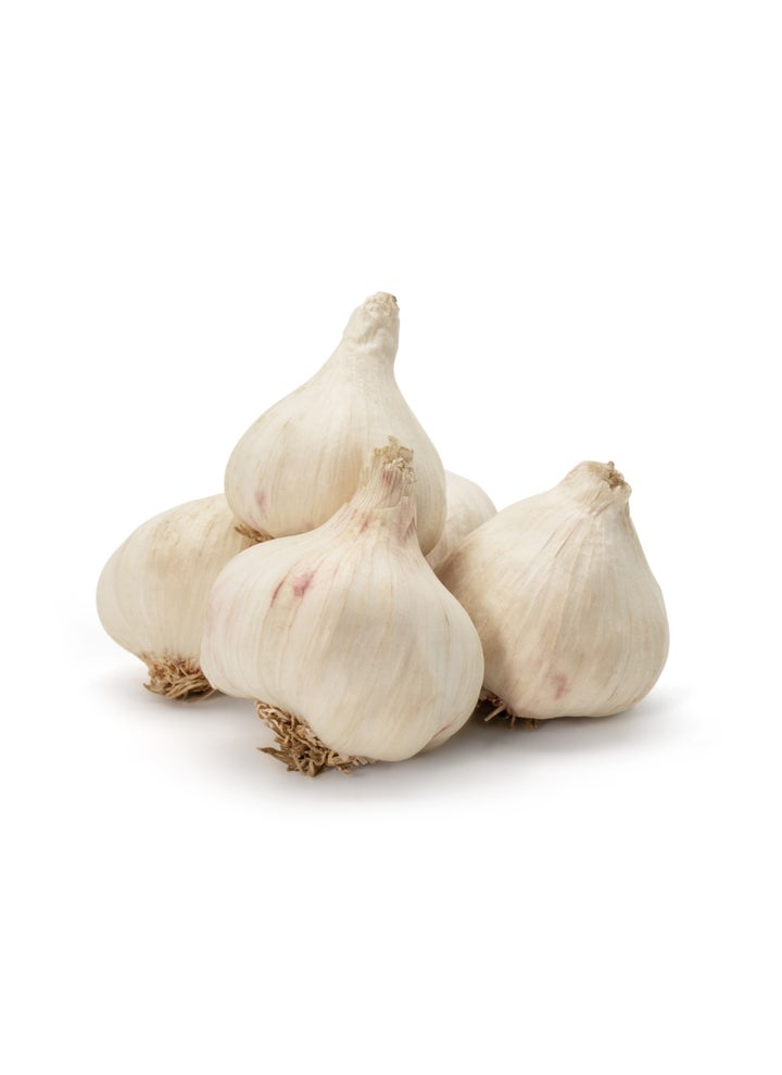 Garlic