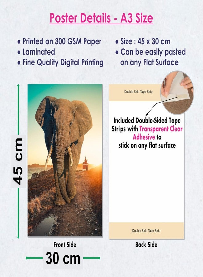 ESCAPER Animal Poster for Wall (12 x 18 inches), Lion Poster, Horse Poster, Elephant Poster, Tiger Poster, Panther Poster, Wolf Poster, Animals Wall Poster (Posters-329-To-334 (6 Qty)) - Image 3