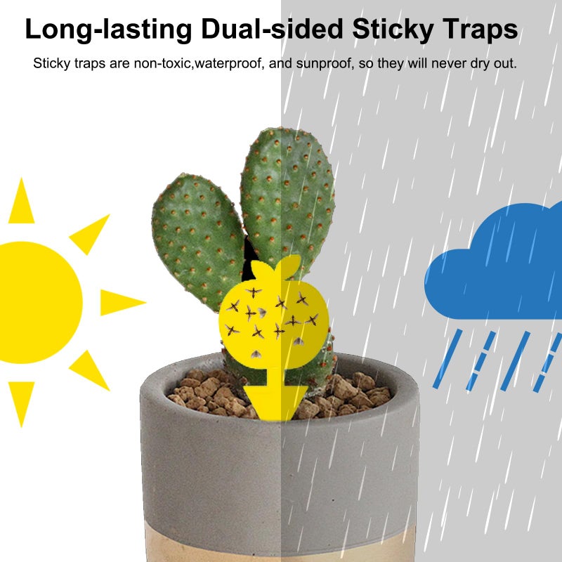 Mosqueda 36PCS Fruit Fly Sticky Traps Fungus Gnat Traps Insect Trap for Plants Kitchen Indoor Outdoor White Flies Mosquitos Fungus Gnats Flying Insects Houseplant Gifts (Apple Shape) - Image 3
