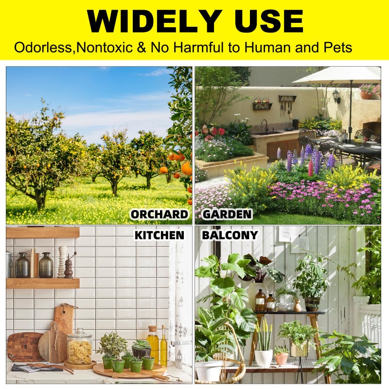 Mosqueda 36PCS Fruit Fly Sticky Traps Fungus Gnat Traps Insect Trap for Plants Kitchen Indoor Outdoor White Flies Mosquitos Fungus Gnats Flying Insects Houseplant Gifts (Apple Shape) - Image 4
