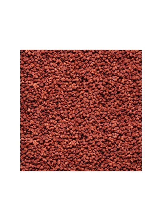 Sera Red Parrot[Volume - 1L] - Image 2