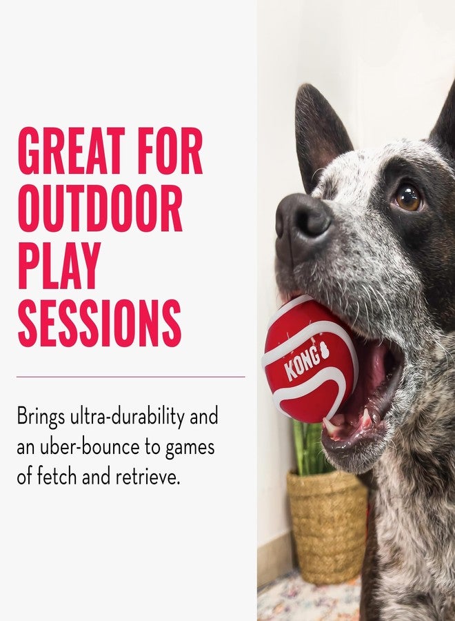 كونج كرات كونغ سيجنتشر المتنوعة للعب الجلب والاسترجاع (كبيرة (عبوة من 3 كرات)) - Image 3