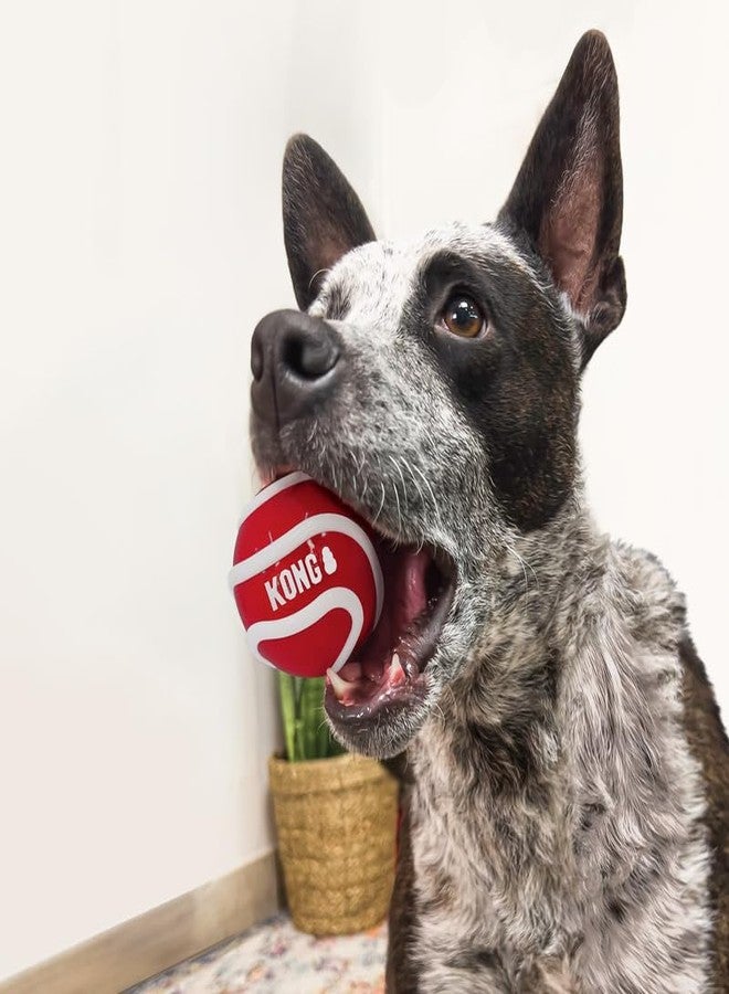 كونج كرات كونغ سيجنتشر المتنوعة للعب الجلب والاسترجاع (كبيرة (عبوة من 3 كرات)) - Image 2