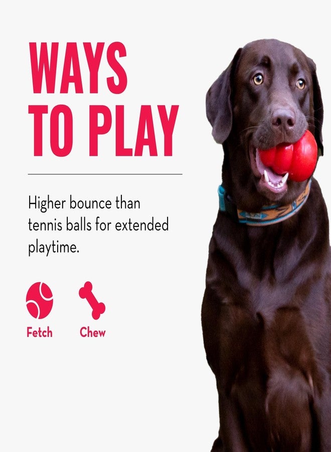 كونج كرات كونغ سيجنتشر المتنوعة للعب الجلب والاسترجاع (كبيرة (عبوة من 3 كرات)) - Image 5