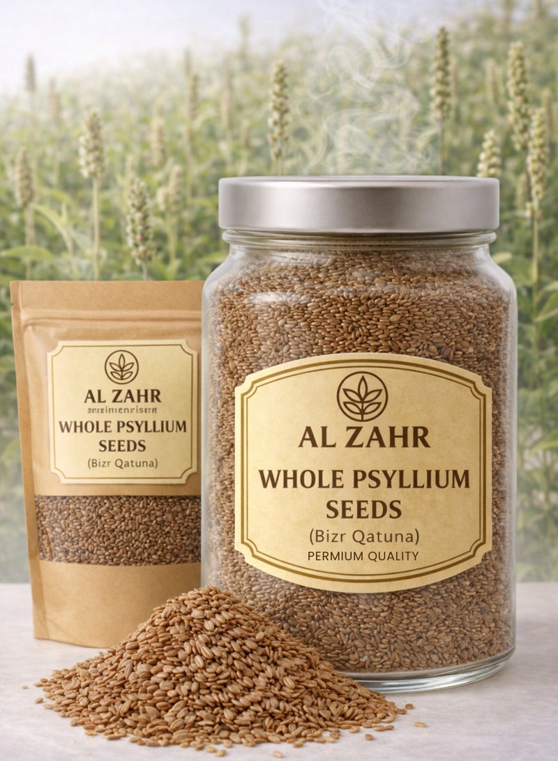 زهر بذور السيليوم الكاملة (بذر قطونا) - بلانتاجو أوفاتا | بذور الإسبغول - بذور طبيعية كاملة عالية الجودة | نقية 100% للاستخدام في البستنة والزراعة وعلم النبات والأعشاب. - Image 1