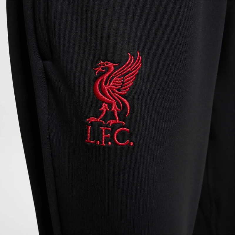 Nike Black Liverpool F.C. Strike Special Edition  | Best Price UAE
