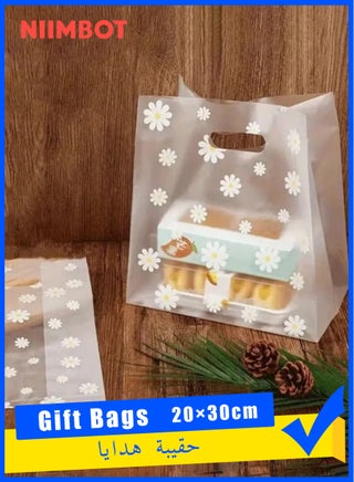 Clear 20×30cm