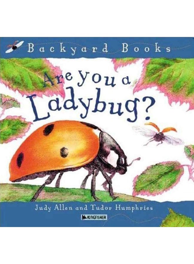 (HM)Backyard:Are You a Ladybird