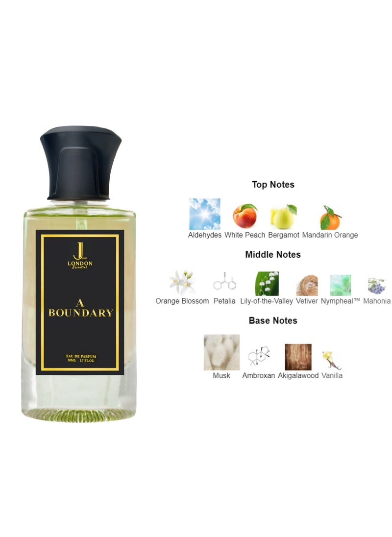 JAN LONDON - JAN LONDON ESSENTIAL - A BOUNDARY EDP Perfume For Men And Women Long Lasting Unisex Fragrance Inspired Perfumes for Ladies & Gents 50ml - Image 1