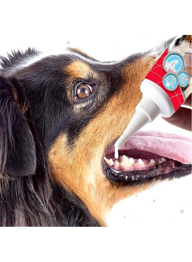 beaphar جل الأسنان للكلاب والقطط - 100 جرام - Image 2