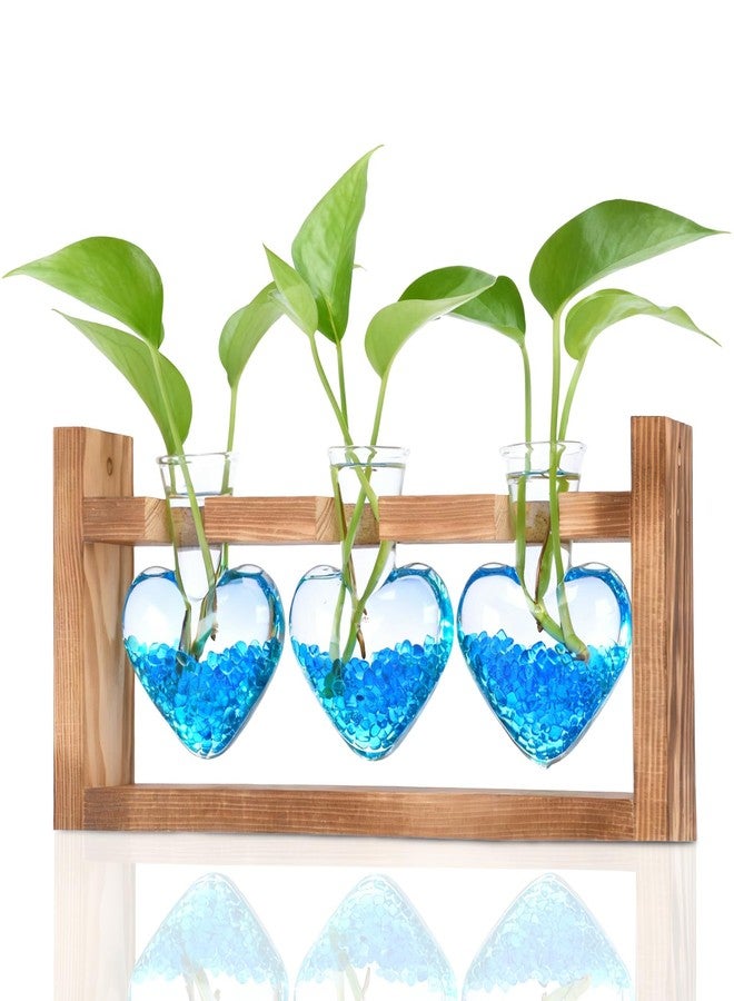 Nacome Plant Terrarium for Office Decor: Wooden Stand Tabletop Planter 3 Bulb Glass Vase Metal Swivel Holder for Hydroponics Home Garden Decor - Planter Lovers Birthday Gifts for Women Mom Grandma - Image 1