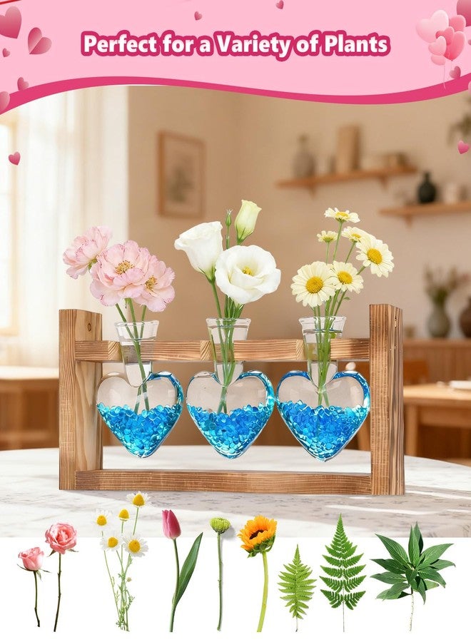 Nacome Plant Terrarium for Office Decor: Wooden Stand Tabletop Planter 3 Bulb Glass Vase Metal Swivel Holder for Hydroponics Home Garden Decor - Planter Lovers Birthday Gifts for Women Mom Grandma - Image 4