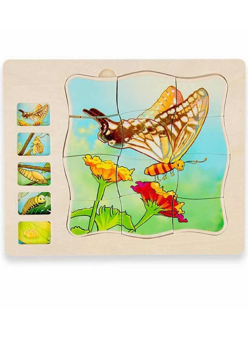 Multi-Layer Wooden Puzzle for Teaching Butterfly Life Cycle 