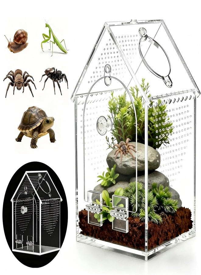 WQLLWFC Jumping Spider Enclosure Kit，Pre-Assembled 8 * 5 * 5in Acrylic Tarantula Terrarium，Reptile Ventilated Habitat Accessories for Spider, Mantis, Snail, Frog, Hermit Crabs & Small Pets - Image 1