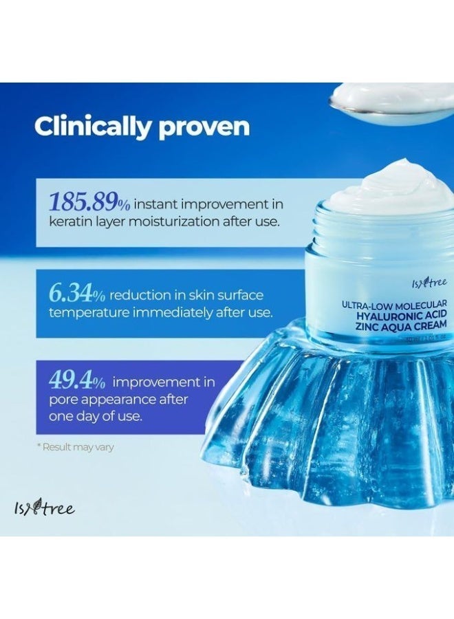 ISNtree Ultra Low Molecular Hyaluronic Acid Aqua Cream with Zinc, 80 ml, 3 fl oz, Korean Skin Care with Hyaluronic Acid for Pore Care, Cooling and Moisturizing Facial Treatment - Image 2