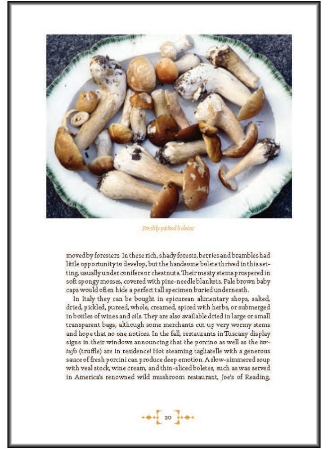 null - Mushroom Foraging and Feasting: Recollections and Recipes From a Lifetime on the Hunt - Image 1