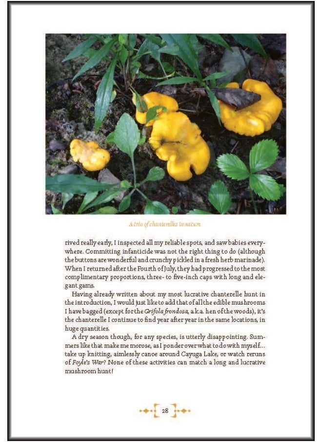 null - Mushroom Foraging and Feasting: Recollections and Recipes From a Lifetime on the Hunt - Image 1