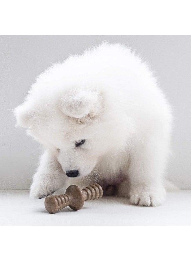 Benebone Puppy 2-Pack Maplestick/Zaggler Durable Dog Chew Toys for Gentle Chewers, Real Bacon, Real Maplewood, Made in USA, Tiny - Image 2