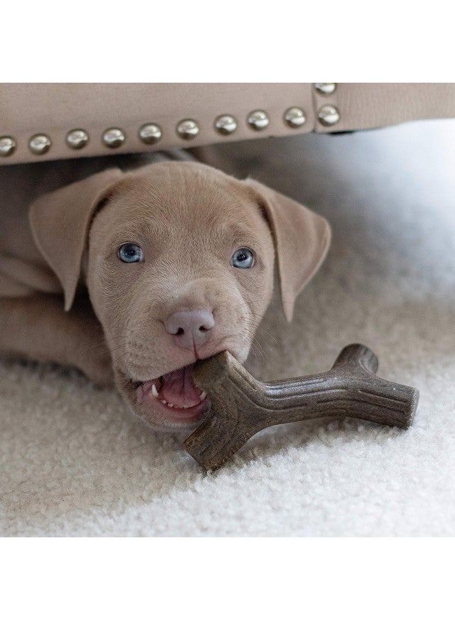 Benebone Puppy 2-Pack Maplestick/Zaggler Durable Dog Chew Toys for Gentle Chewers, Real Bacon, Real Maplewood, Made in USA, Tiny - Image 4