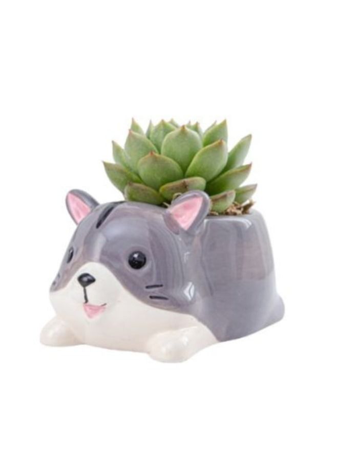 Cute Succulent Planter, Succulent Pots with Drainage Hole Flower Plant Pot Cartoon Ceramic Tiny Pot for Indoor Mini Flower Planters Cactus Container 1 Pc - Image 2