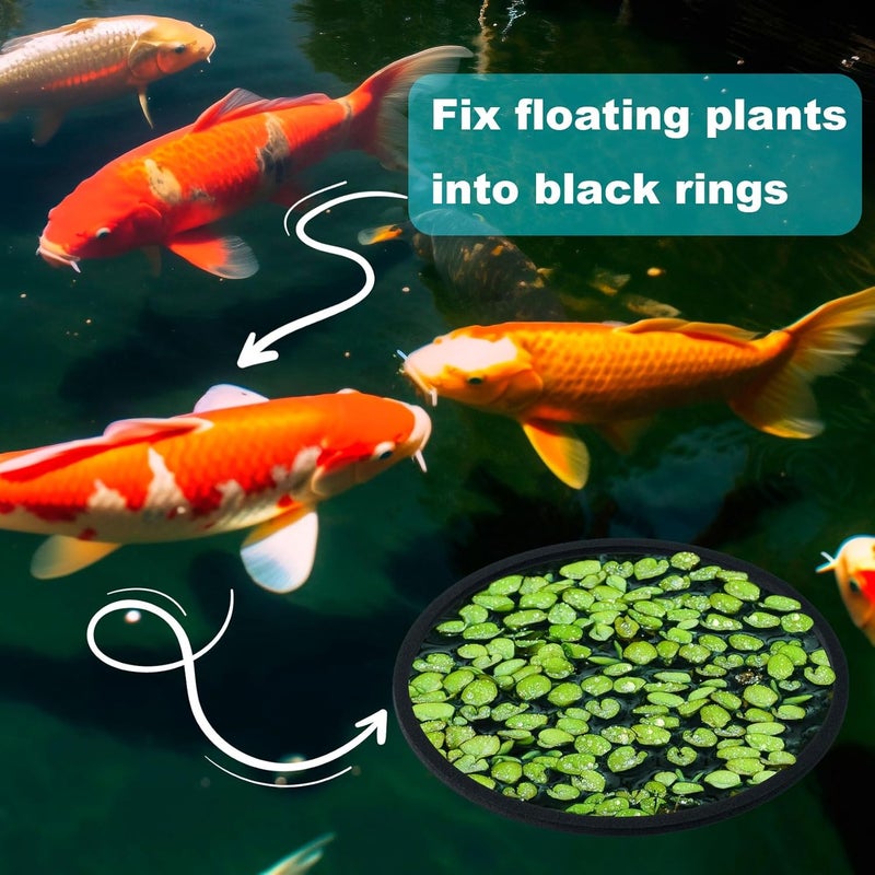 OIIKI 10 PCS Fish Feeding Rings Sets Floating Aquarium Plant Corral Floating Plant Rings Oval and Square Fish Feeding Rings Fish Tank Aquarium Accessories for Fish Tank Floating Plants  Black - Image 4