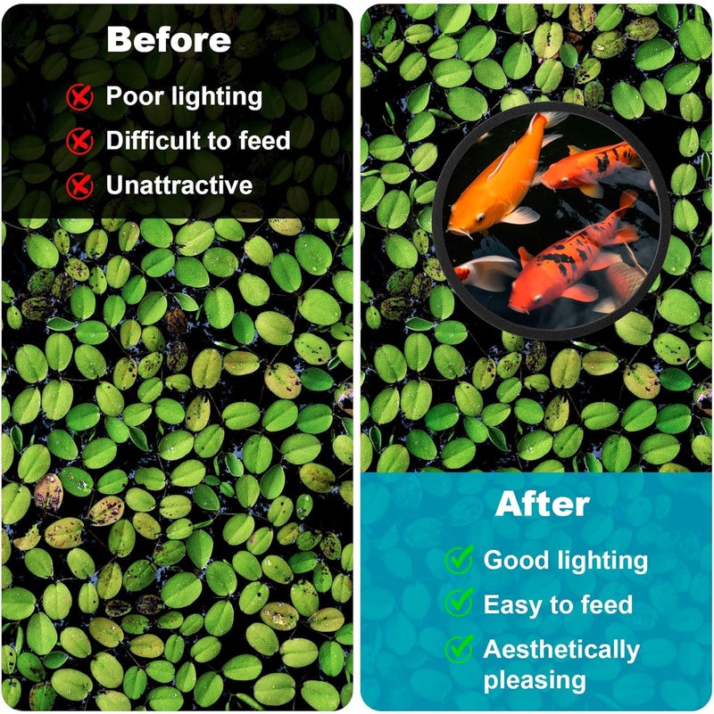 OIIKI 10 PCS Fish Feeding Rings Sets Floating Aquarium Plant Corral Floating Plant Rings Oval and Square Fish Feeding Rings Fish Tank Aquarium Accessories for Fish Tank Floating Plants  Black - Image 5