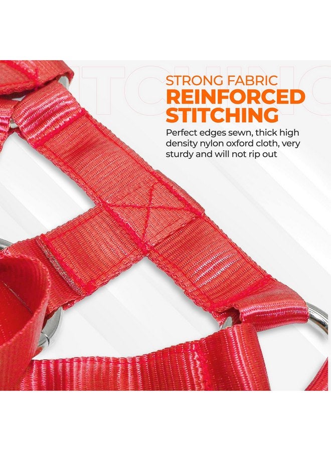 Dog Head Halter with Safety Strap - Headcollar - No-Pull Dog Collar - Perfect for Leash & Harness Training Medium and Large Dog Sizes (Size M (Pack of 1), Red) - Image 5
