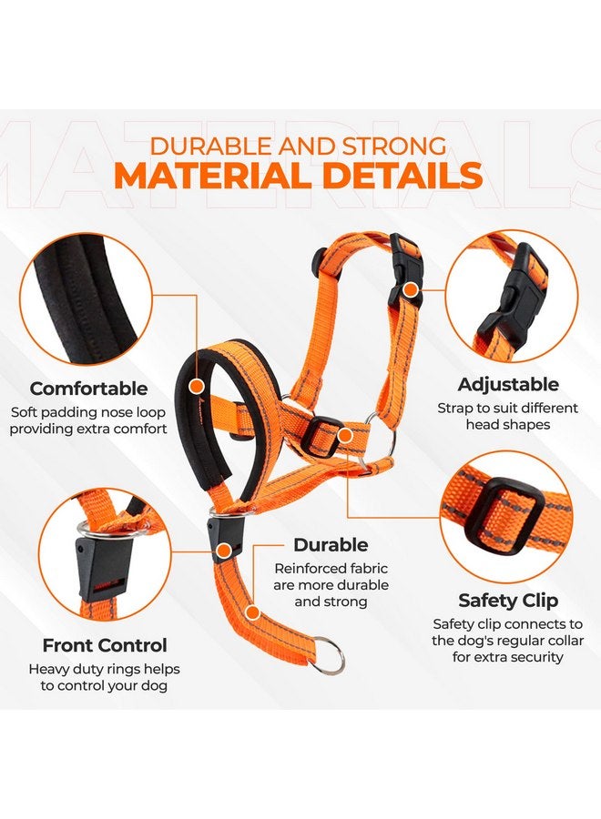 Dog Head Halter with Safety Strap - Headcollar - No-Pull Dog Collar - Perfect for Leash & Harness Training Medium and Large Dog Sizes (Size M (Pack of 1), Red) - Image 2