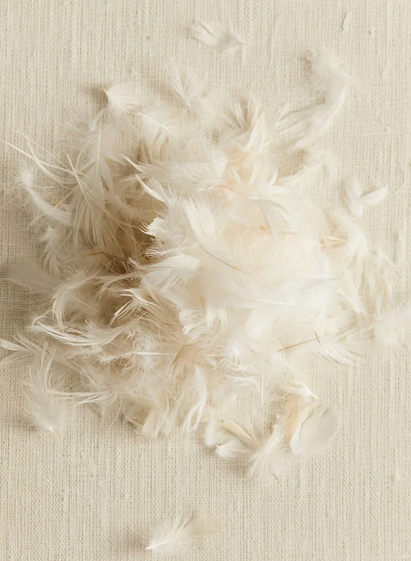 H&M Feather-Filled Inner Cushion