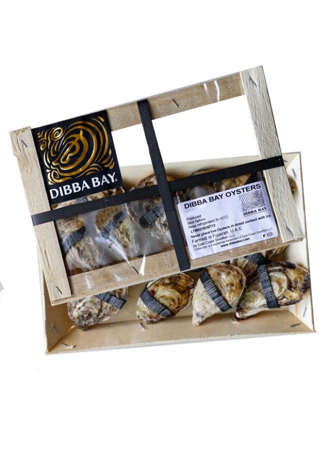 Dibba Bay محارات حية, 16 محارات حية - Image 1