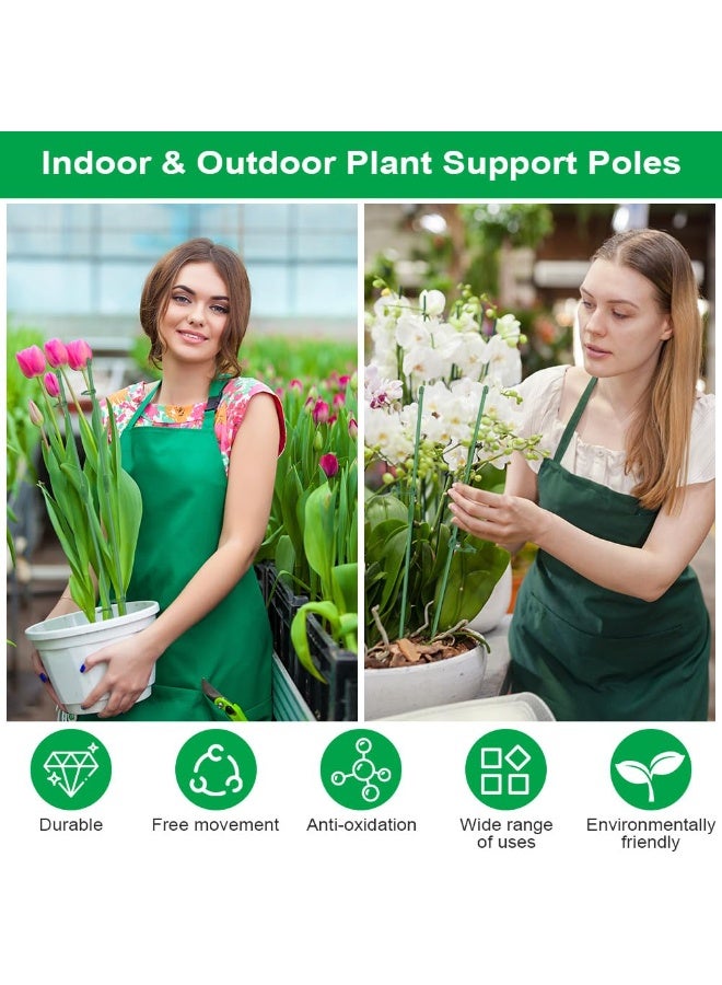 نجم ستايل دعامة نباتية قابلة للتعديل، دعامة نباتات داخلية بطول 30 سم، 12 قطعة من دعامات النباتات، دعامة أوركيد مع مشابك نباتية مناسبة لحدائق المنزل، الأوركيد، الفاوانيا، النباتات المتسلقة، حوامل الزهور - Image 5