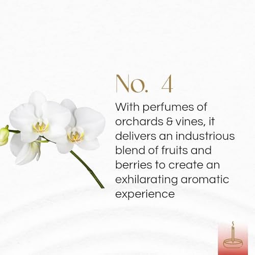 Gonesh - Classic Collection - Non-Toxic 10” Slow Burn Fruit & Floral Aromatic Sticks - No. 4-100 Pack - Image 2