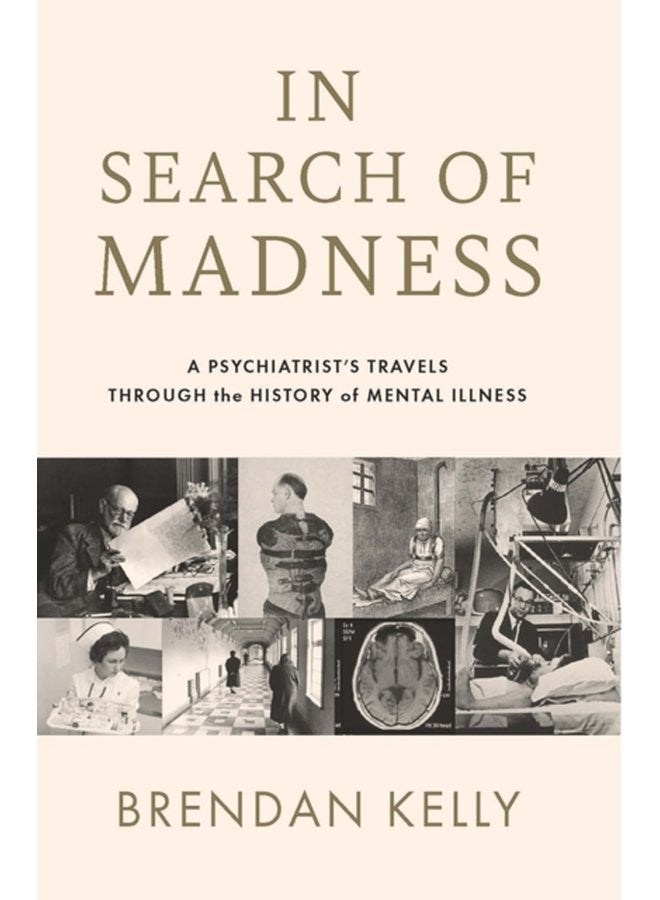 In Search of Madness A psychiatrist s travels through the history of mental illness - Paperback