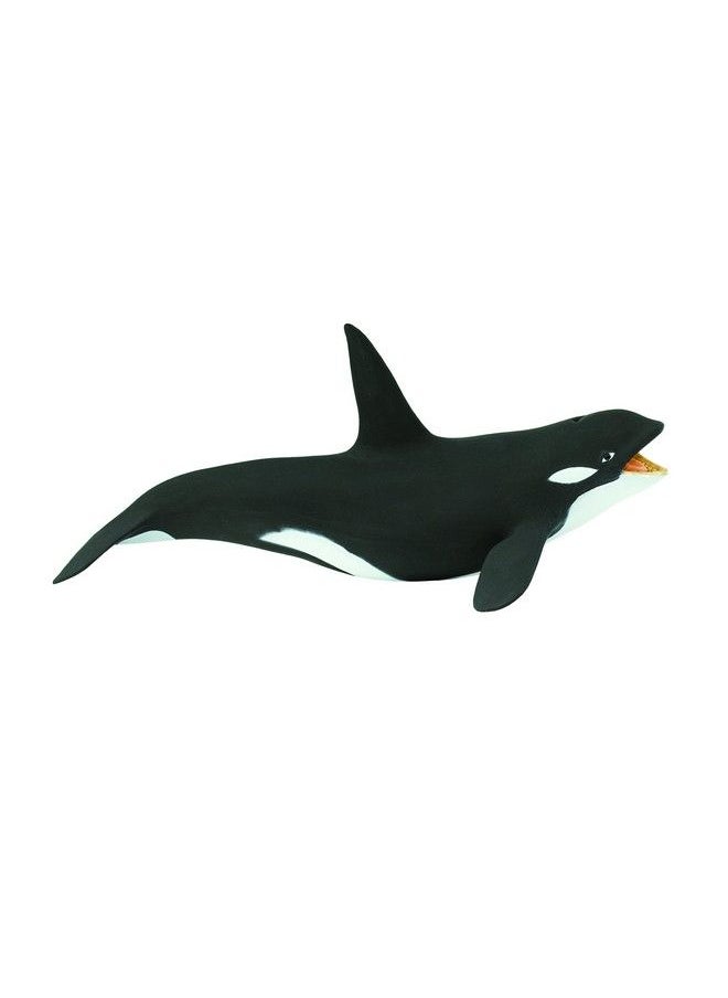 Safari Ltd. Safari Ltd Wild Safari Sea Life Killer Whale Educational Hand Painted Figurine Quality Construction From Safe And Bpa Free Materials For Ages 3 And Up  - Image 1