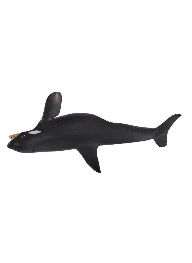 Safari Ltd. Safari Ltd Wild Safari Sea Life Killer Whale Educational Hand Painted Figurine Quality Construction From Safe And Bpa Free Materials For Ages 3 And Up  - Image 5