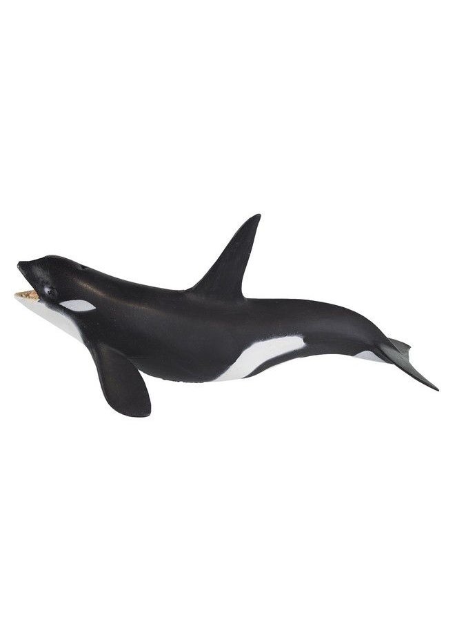 Safari Ltd. Safari Ltd Wild Safari Sea Life Killer Whale Educational Hand Painted Figurine Quality Construction From Safe And Bpa Free Materials For Ages 3 And Up  - Image 3