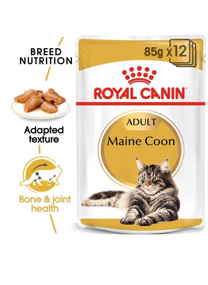ROYAL CANIN Feline Breed Nutrition Maine Coon (WET FOOD - Pouches) 12 x 85g - Image 1