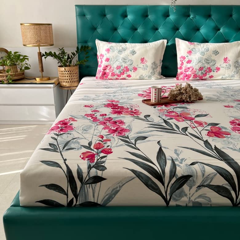 Urban Space 100 Cotton Bedsheet for Double Bed Serene 200 TC Bedsheet Double Size Bed Cotton with 2 Pillow Cover 88 x 100 inches Majestic Pink